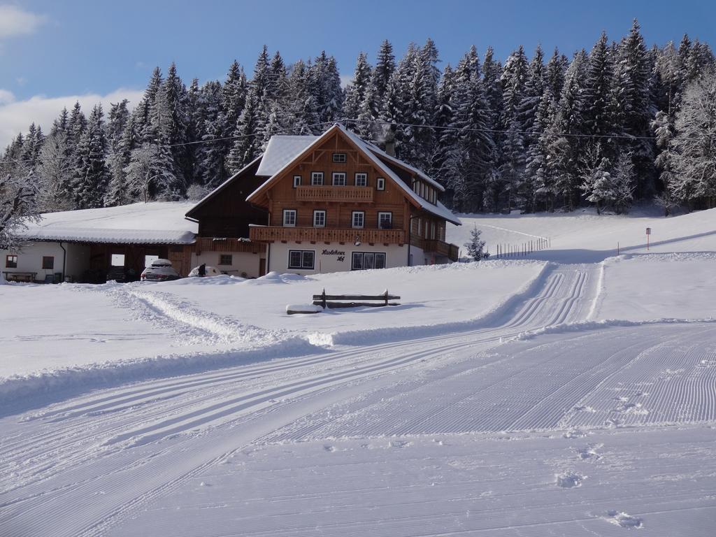 Haslehnerhof Villa Ramsau am Dachstein Exterior photo